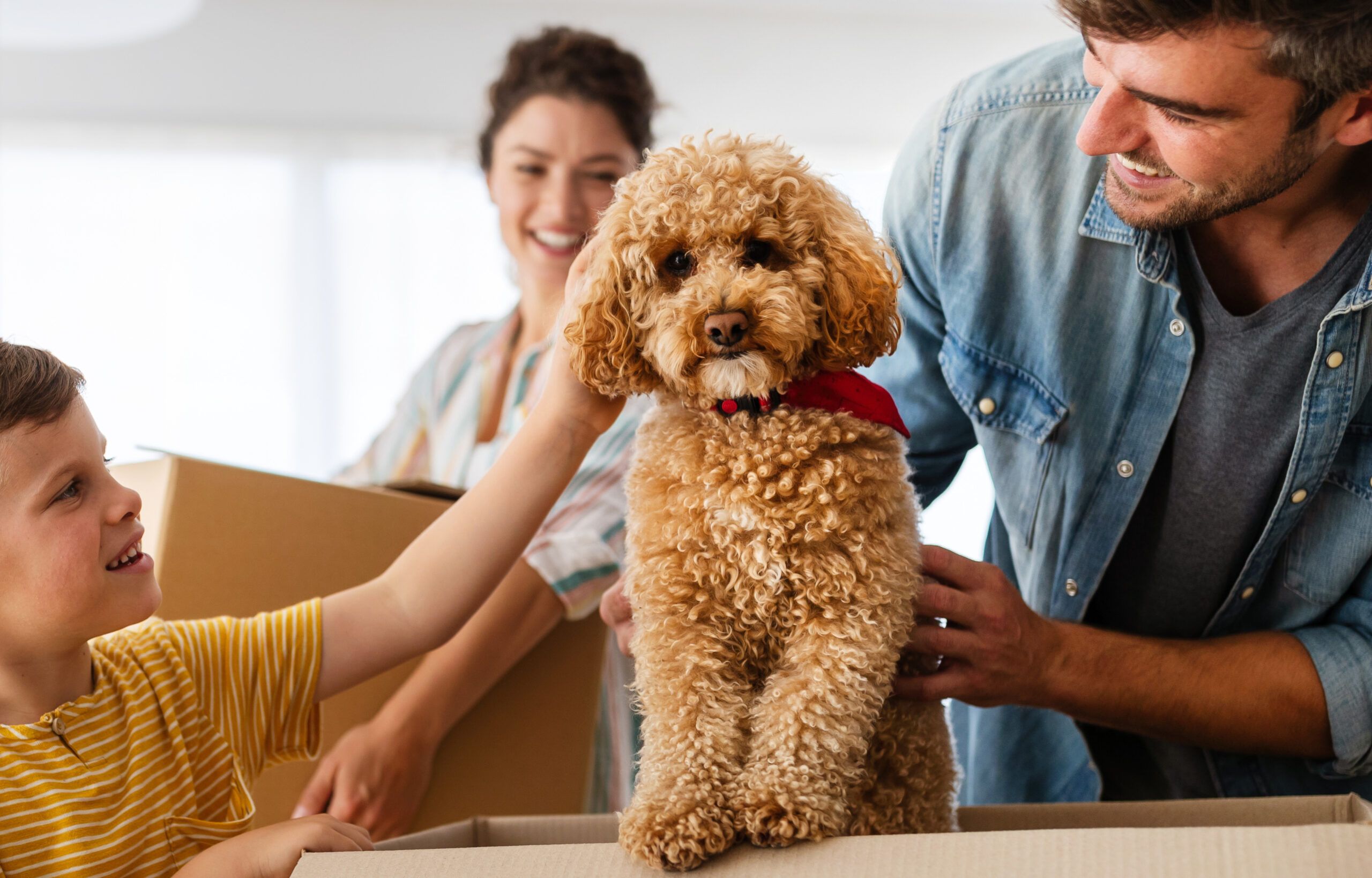 Featured image for Stay Charged on the Go: The Ultimate Guide to Car Chargers Internationally