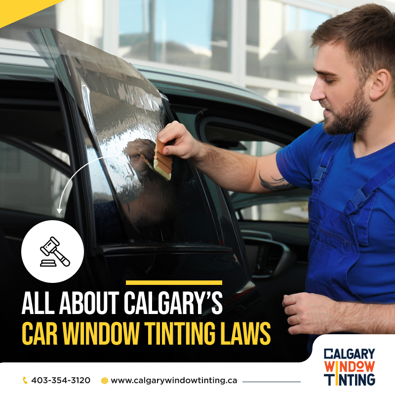 Content image for Privacy and Protection: Understanding Car Window Tinting Laws Internationally