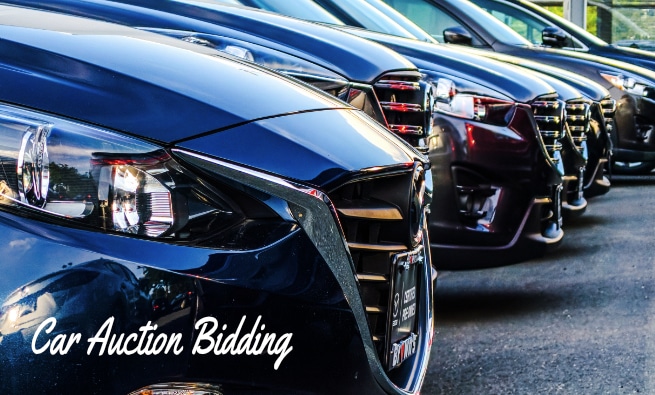 Content image for Decoding the Auction Block: Smart Strategies for Classic Car Bidding